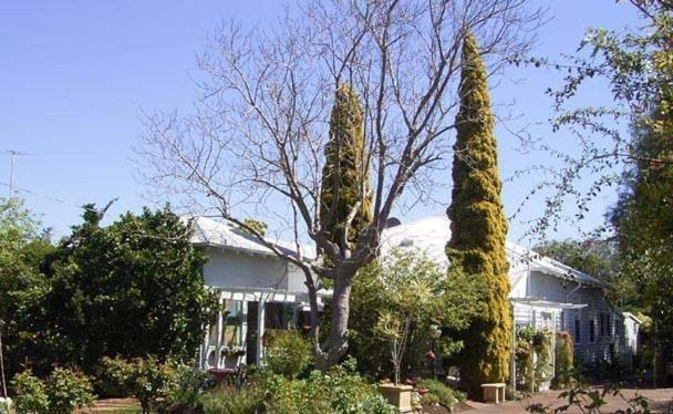 Jacaranda Guest House Busselton Kültér fotó