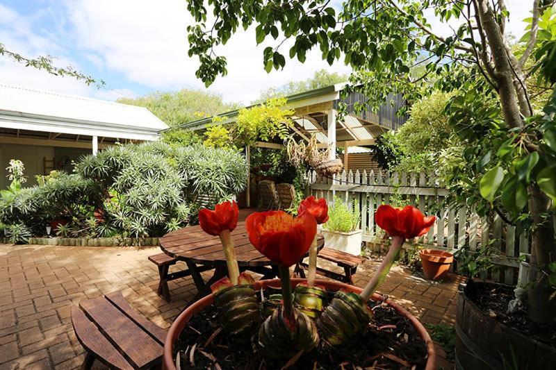 Jacaranda Guest House Busselton Kültér fotó